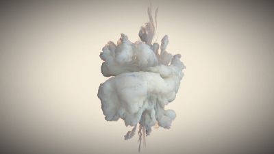 Vortex Fluids